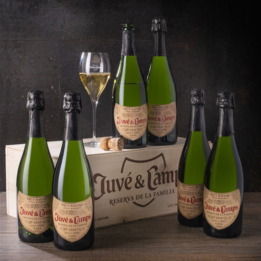 Carton de 6 bouteilles Juve &amp; Camps Family Reserve