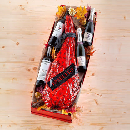 Premium Lot with Joselito Gran Reserva Ham, Cava and Wine